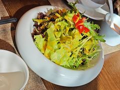 -俏东方·海味水饺·青岛菜(崂山店)