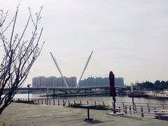-映月湖中央公园