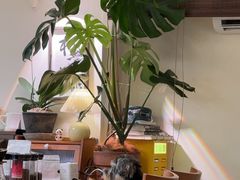 -本無咖啡·BeanWood Coffee