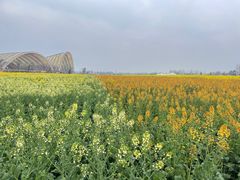 -中国天府农业博览园