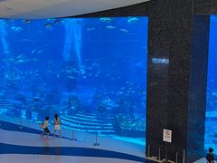 -亚特兰蒂斯•OSSIANO奥西亚诺海底餐厅