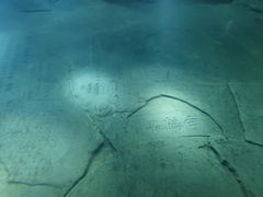 -白鹤梁水下博物馆