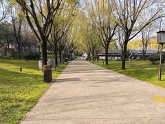 -唐城墙遗址公园