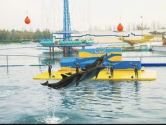 -秦皇岛乐岛海洋王国