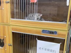 -A猫a狗全科·犬猫异宠·芥西宠物医院(南开总院)
