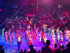 -珠海横琴长隆《卡卡虎奇遇记》