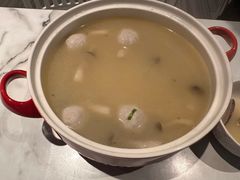 -MR鹅外
