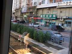 -风情丽江斑鱼火锅(孙家沟西南路80号店)