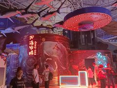 -烟台海昌鲸鲨海洋公园