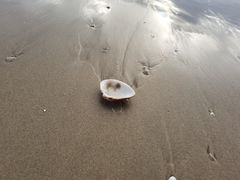 -六鳌翡翠湾滨海度假景区