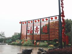 -合肥滨湖国家森林公园