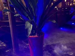 -三亚夏威夷大酒店