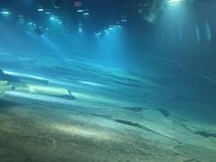 -白鹤梁水下博物馆