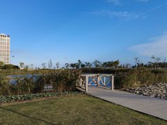 -鹦鹉洲湿地公园