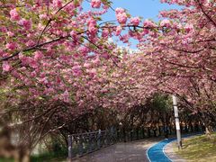 -苏州河梦清园环保主题公园