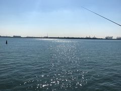 -东疆建设开发纪念公园