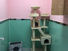 -全心全意连锁动物医院(石景山店)