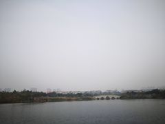 -眉山湿地公园(东坡区)
