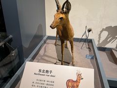 -大庆市博物馆