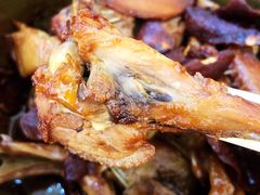 -斯丹姜母鸭·古法干香(涂门街总店)