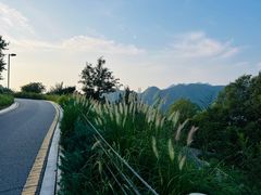 -北京中信金陵酒店