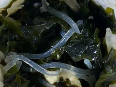 海藻豆腐包-大邱大包