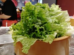 -龍歌自助小火锅(崂山丽达店)