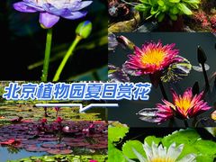 -国家植物园南园