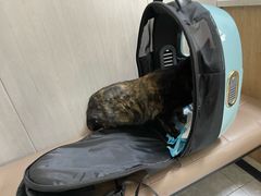 -半岛宠物医院24小时(西派城店)