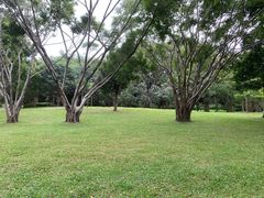 -福田红树林生态公园