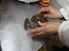 -芸海阁·农家私房菜(沙家浜景区出口店)