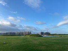 -南汇新城海滩