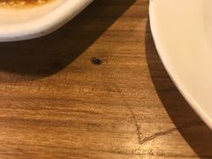 -新澳港式茶餐厅(余姚路店)
