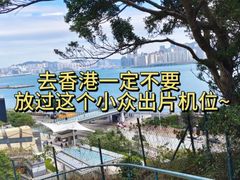 -讯号山花园