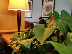 大堂-COSTA COFFEE(天通苑华联店)