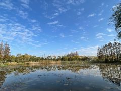 -上海长兴岛郊野公园