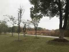 -梁鸿国家湿地公园