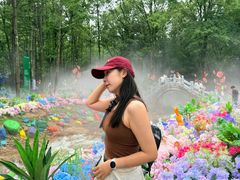 -洛阳白云山景区