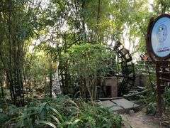 -大屏嶂森林公园
