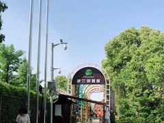 -金山农民画村-枫泾波兰倒置屋