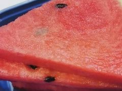 -眉州东坡(亚运村店)
