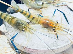 -琥珀川糟粕醋火锅(慈云寺店)