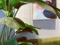 -朱迪小铺.半糖奶油蛋糕(海汇港店)