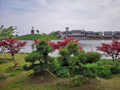 -金卉庄园