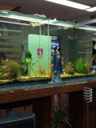 商户图片-小左美发