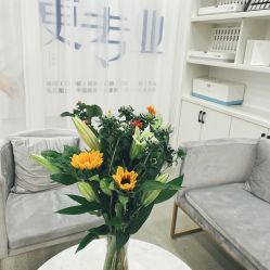 -SOR索尔祛痘·面部肌肤管理