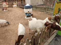 -鄂尔多斯野生动物园