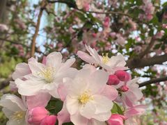 -元大都城垣遗址公园