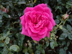 -人民公园(罗湖区)