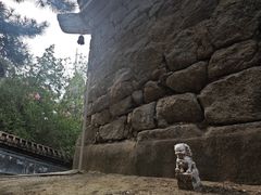 -白水寺森林公园